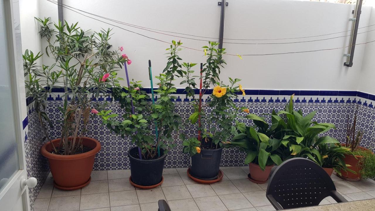 알고도날레스 Apartamento Callejuela Las Flores 아파트 외부 사진